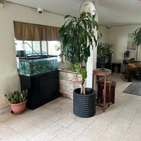 Palm Inn Motel - Rosemead, Los Angeles Экстерьер фото
