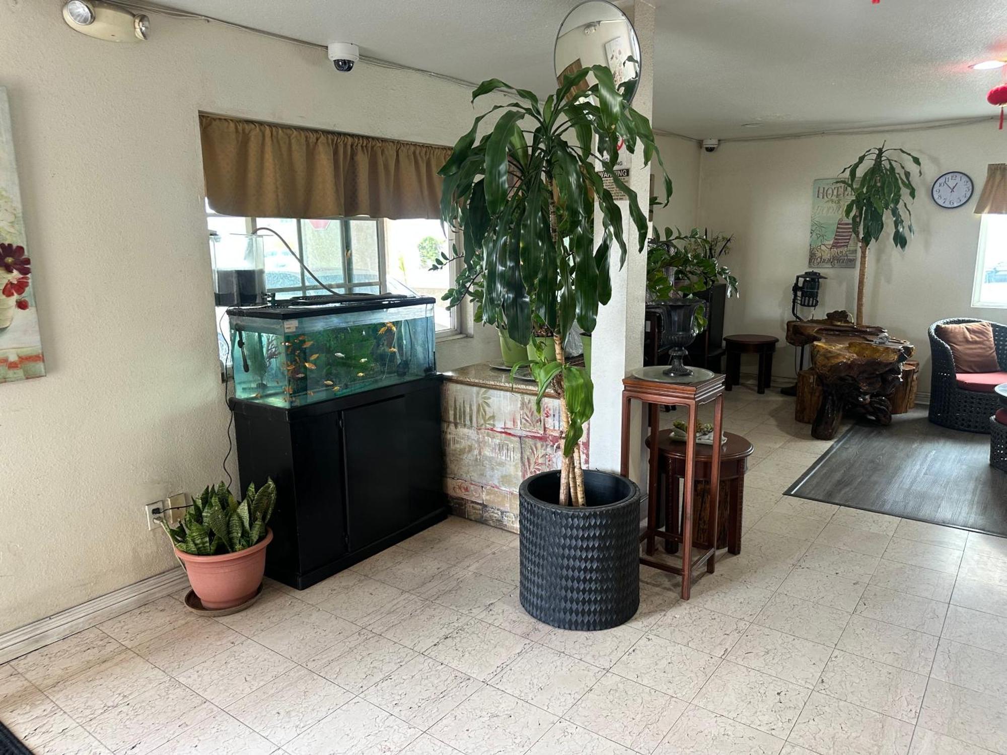 Palm Inn Motel - Rosemead, Los Angeles Экстерьер фото